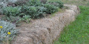 A No- Dig Garden